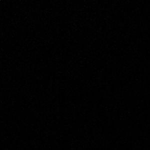 Meet your Posher, Larry